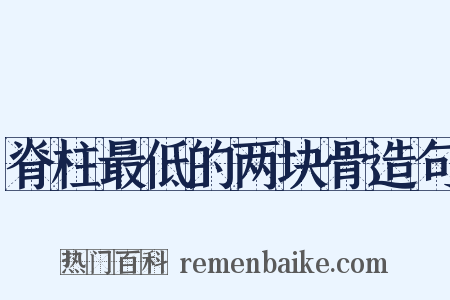 脊柱最低的两块骨造句是什么意思的图片